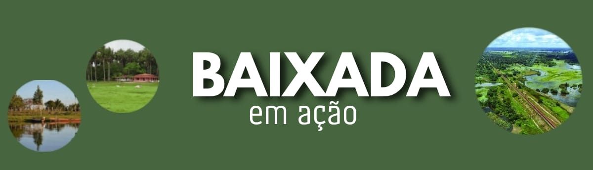 Baixada em Ação - 